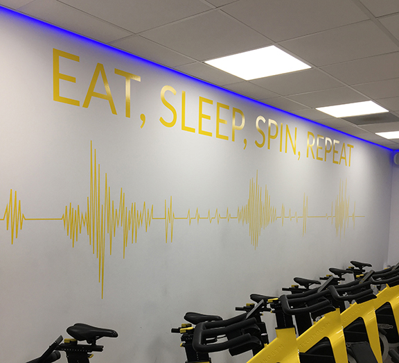 office-display|gym|vinyl-cut-graphics|advertising-printing|cameo-print-and-displays|large-format-printing-cambridge|feature|large-format-print-st-ives