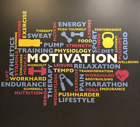 office-display|vinyl-cut-graphics|advertising-printing|cameo-print-and-displays|large-format-printing-cambridge|product|large-format-print-st-ives