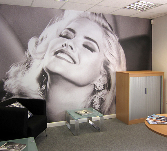 office-wallpaper|display-canvas-graphics|advertising-printing|cameo-print-and-displays|large-format-printing-cambridge|feature-2|large-format-print-st-ives