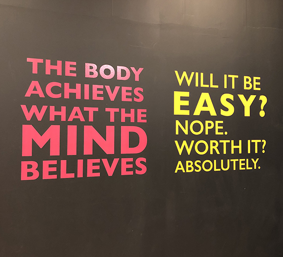 vinyl-cut-letters|office-wall|gym-graphic|product-printing|cameo-print-and-displays|large-format-printing-cambridge|feature|large-format-print-st-ives